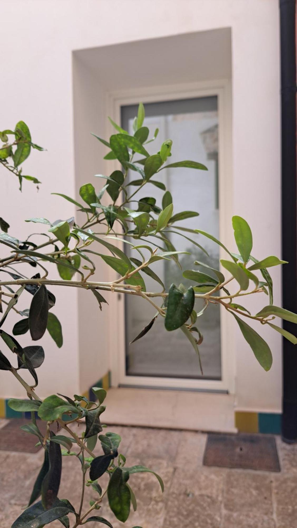 B&B Garibaldi Alcamo Extérieur photo